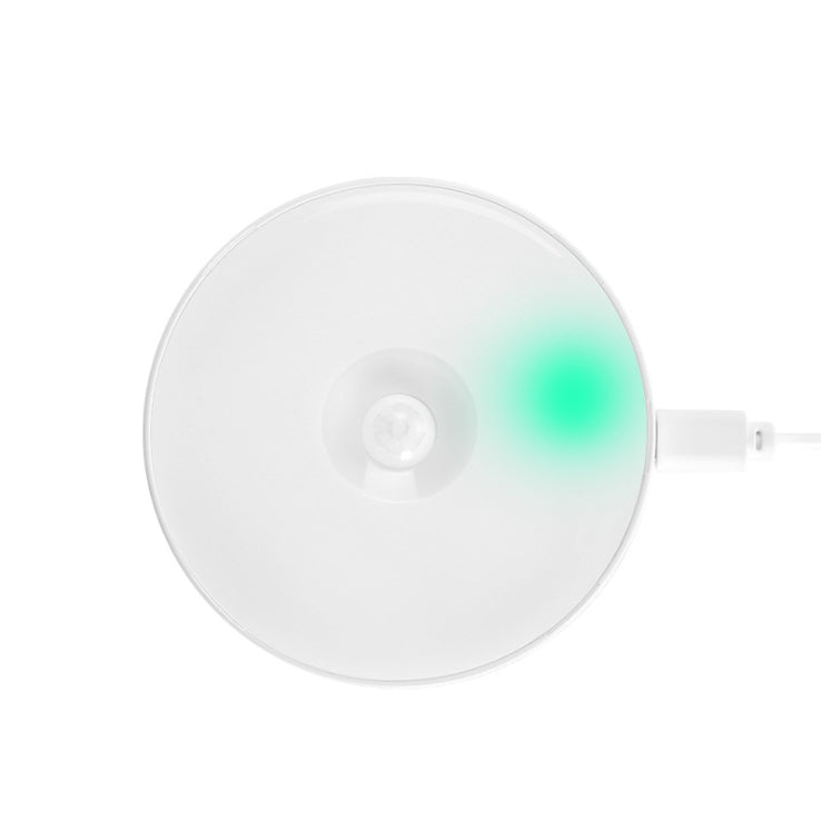 Motion Sensor LED Light (Rechargeable)