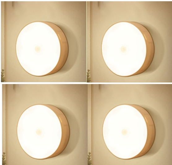 Motion Sensor LED Light (Rechargeable)
